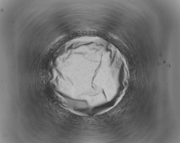 X0000073720870200608311817
