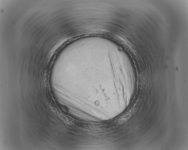 X0000073720875200608311817