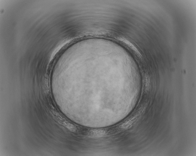 X0000073720878200608311817