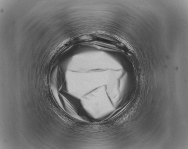 X0000073720881200608311817
