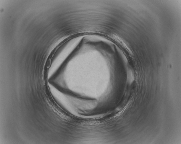 X0000073720884200608311817