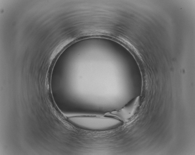 X0000073720885200608311817