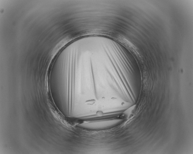 X0000073720892200608311817