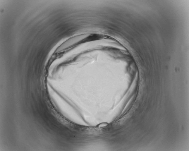 X0000073720912200608311816
