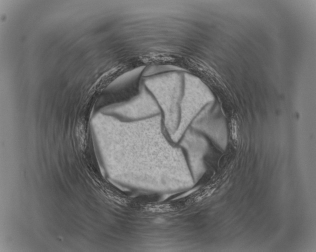 X0000073720915200608311816