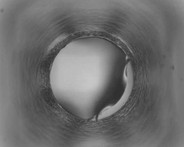 X0000073720919200608311816