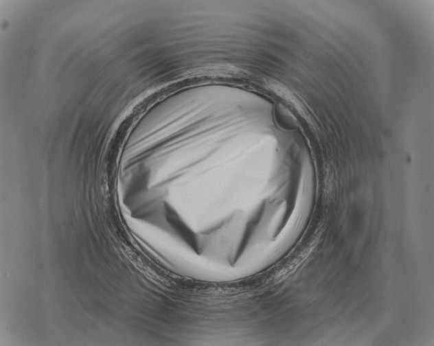 X0000073720923200608311816