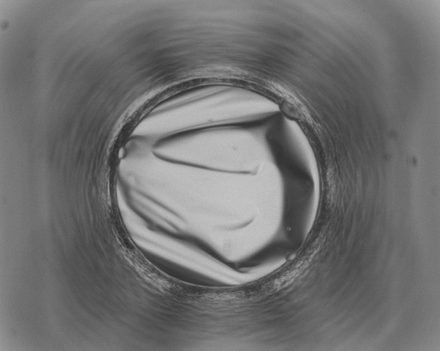 X0000073720931200608311816