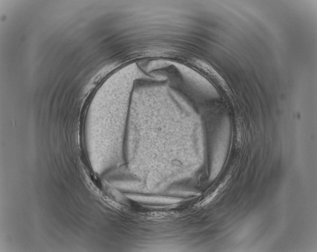 X0000073720938200608311816
