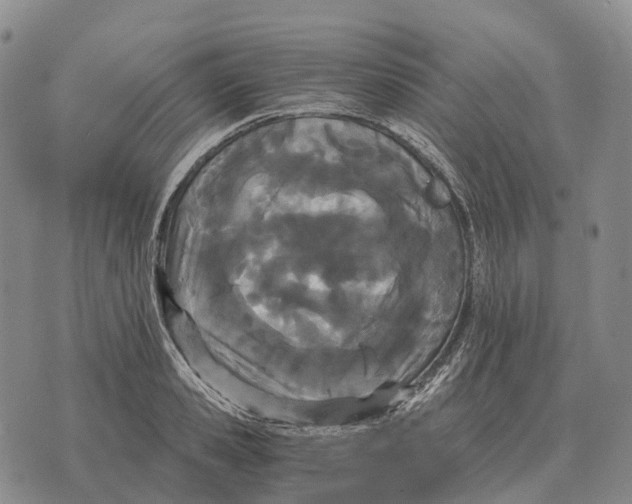 X0000073720941200608311816