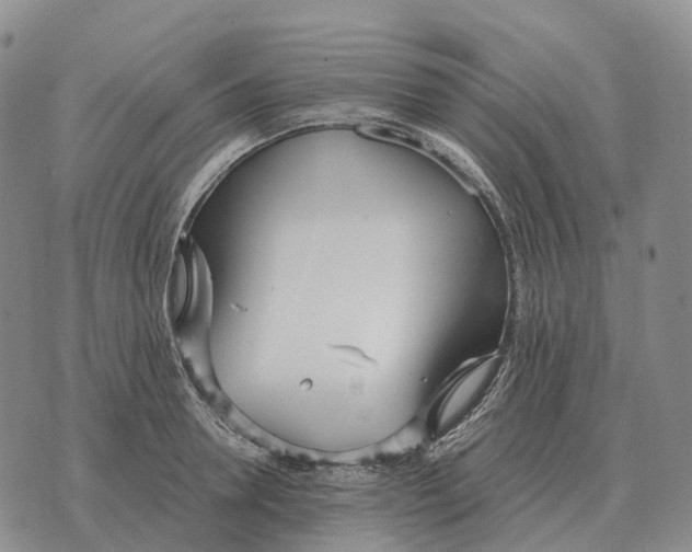 X0000073720946200608311816