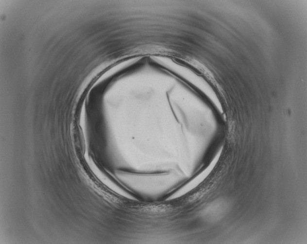 X0000073720947200608311816
