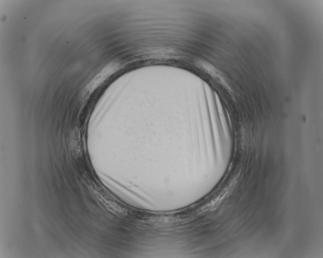 X0000073720970200608311815