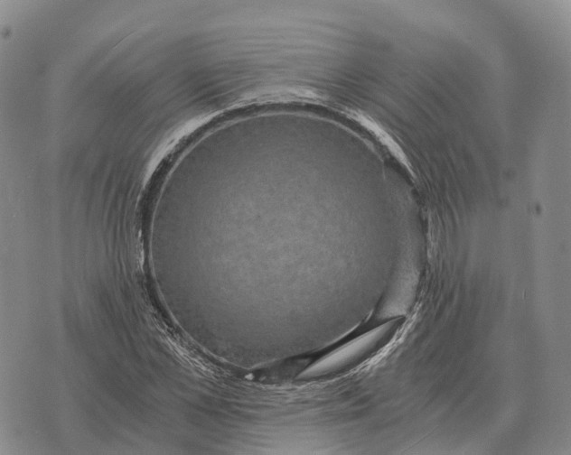 X0000073720973200608311815