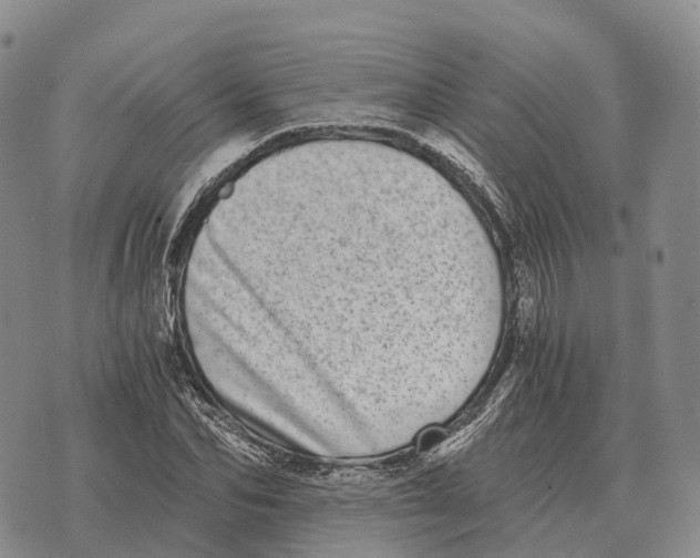 X0000073720974200608311815