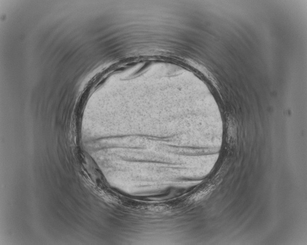 X0000073720979200608311815