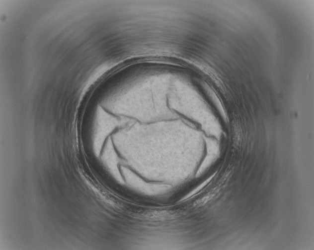 X0000073720982200608311815