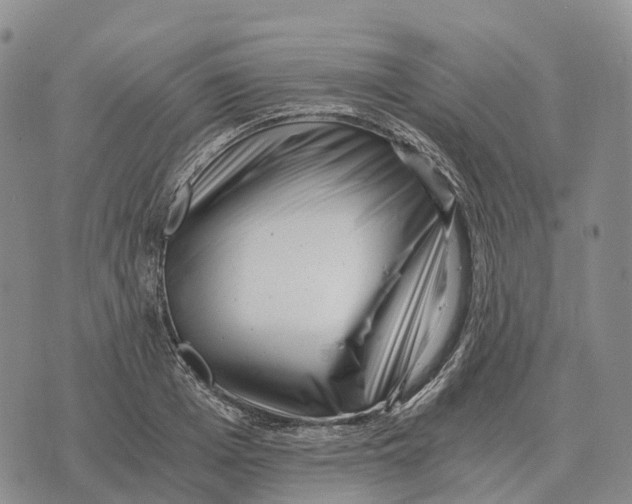 X0000073720985200608311815