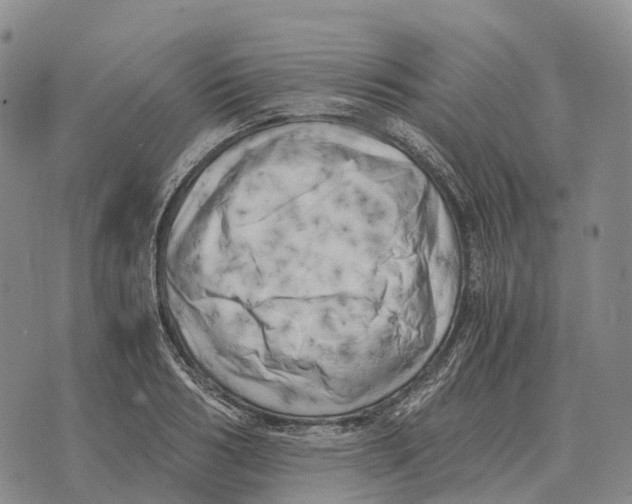 X0000073720986200608311815