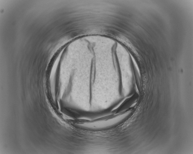 X0000073720991200608311815