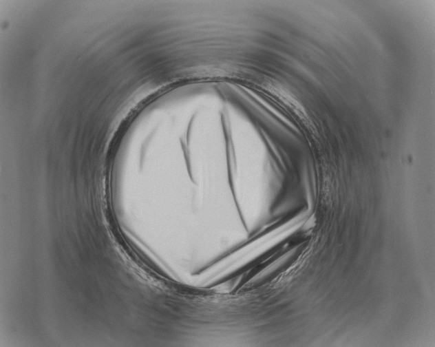 X0000073720992200608311815