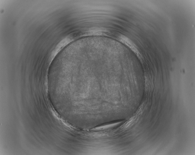 X0000073720994200608311815