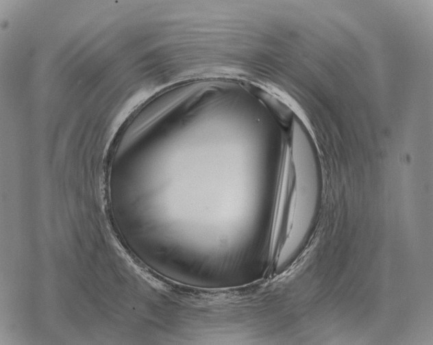 X0000073720997200608311815