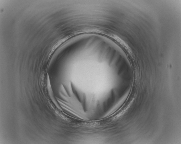 X0000073721001200608311815