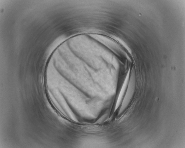 X0000073721007200608311815