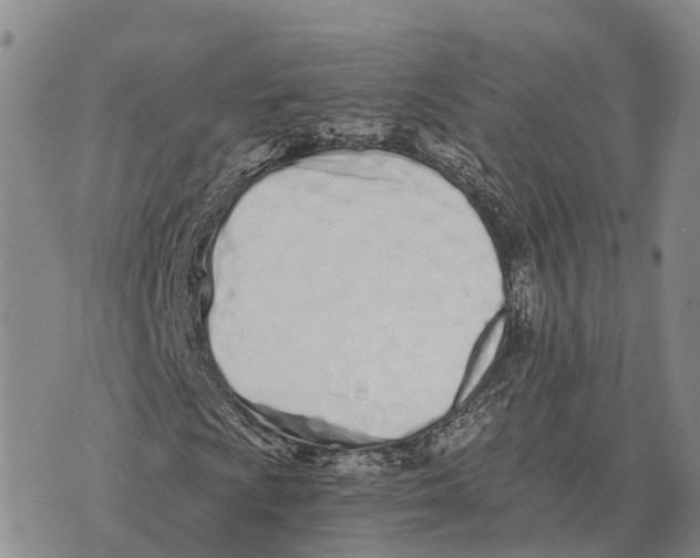 X0000073721009200608311814