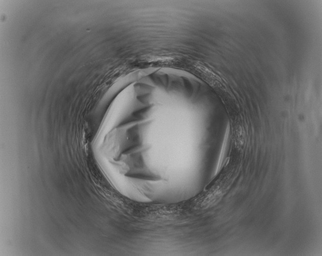 X0000073721010200608311814