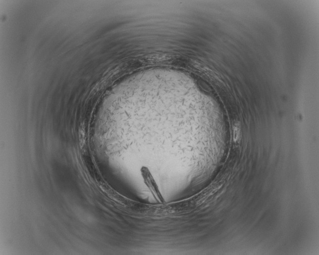 X0000073721011200608311814