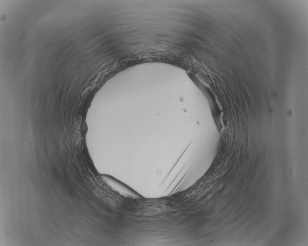 X0000073721012200608311814