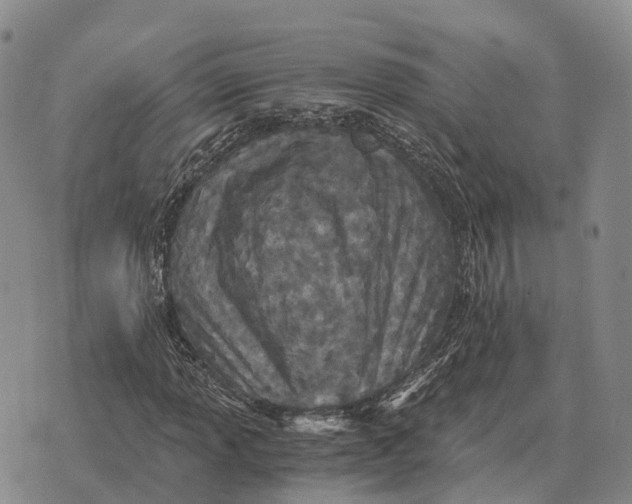 X0000073721013200608311814