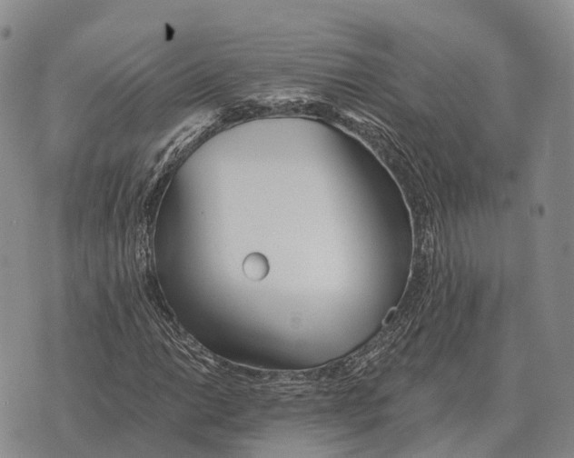 X0000073721014200608311814