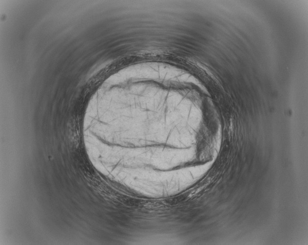 X0000073721015200608311814