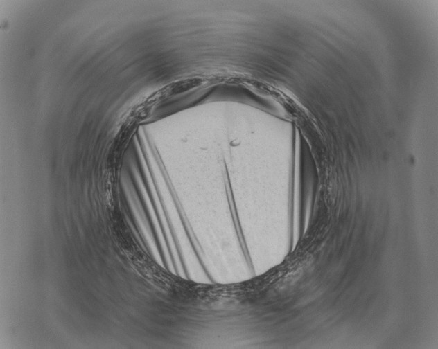 X0000073721016200608311814