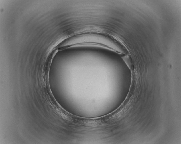 X0000073721018200608311814