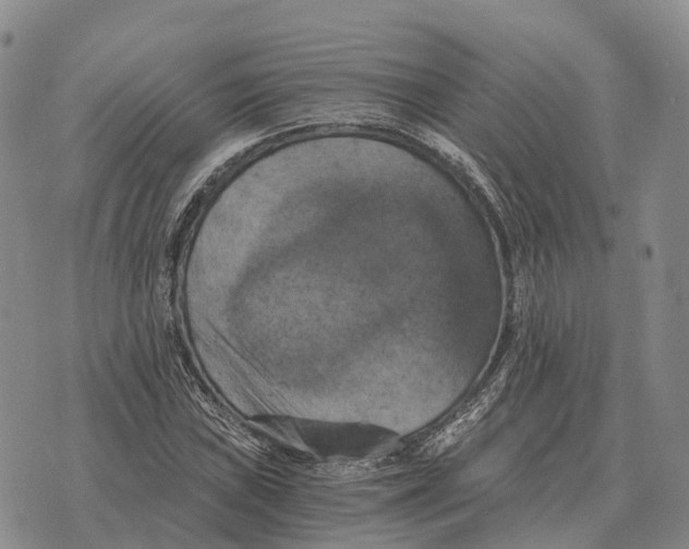 X0000073721019200608311814