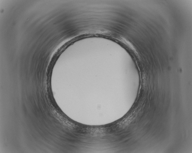 X0000073721020200608311814