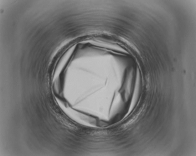 X0000073721021200608311814