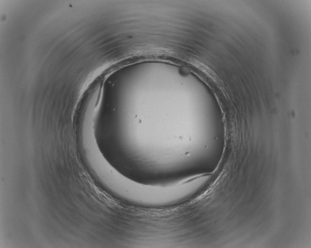 X0000073721022200608311814