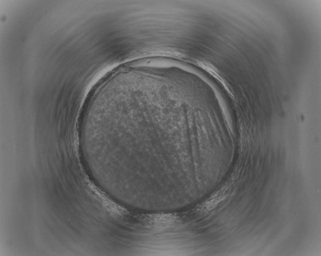 X0000073721024200608311814