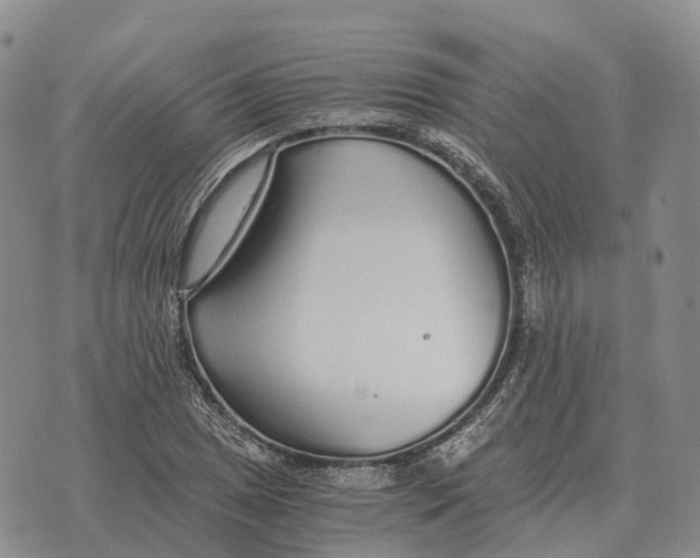 X0000073721025200608311814