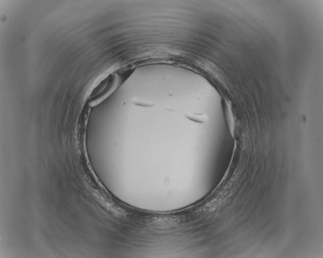 X0000073721026200608311814