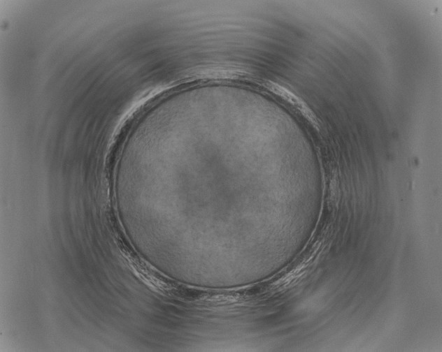 X0000073721027200608311814