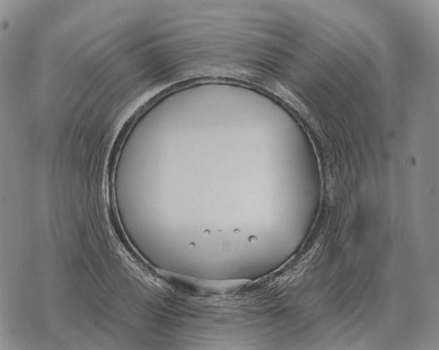 X0000073721028200608311814