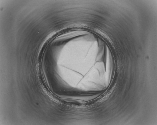 X0000073721029200608311814