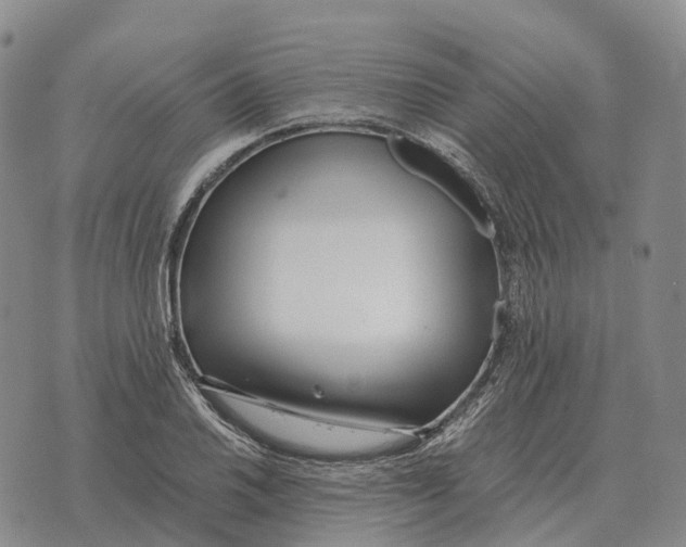 X0000073721030200608311814