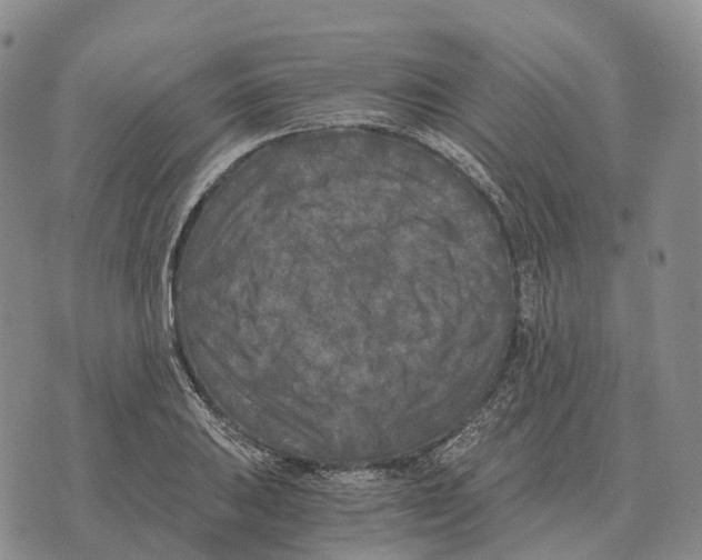 X0000073721031200608311814